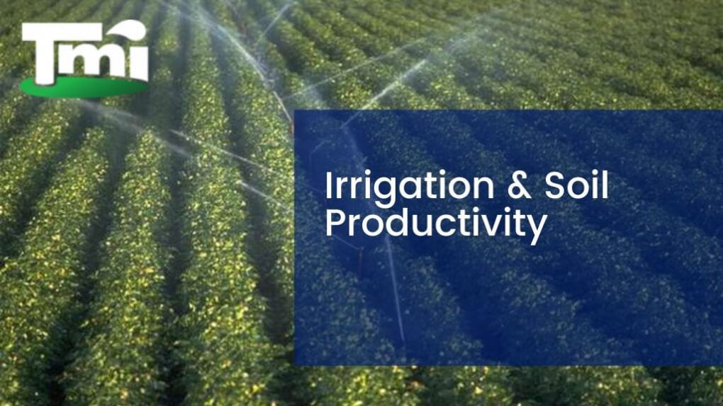 Irrigation & Soil Productivity