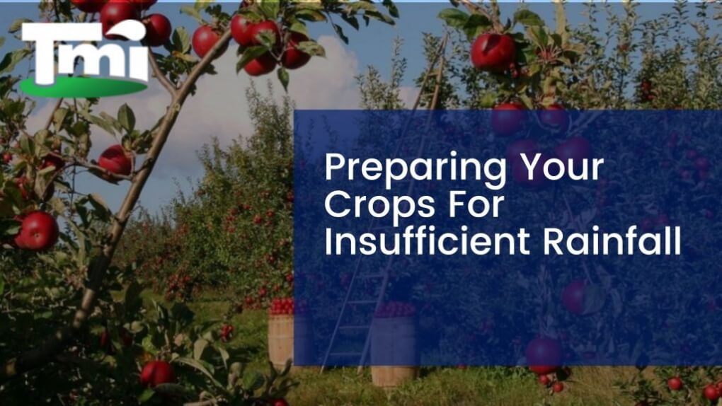 Preparing Your Crops For Insufficient Rainfall