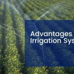 Advantages Of Irrigation Systems