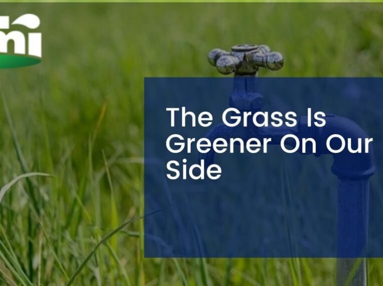The Grass Is Greener On Our Side