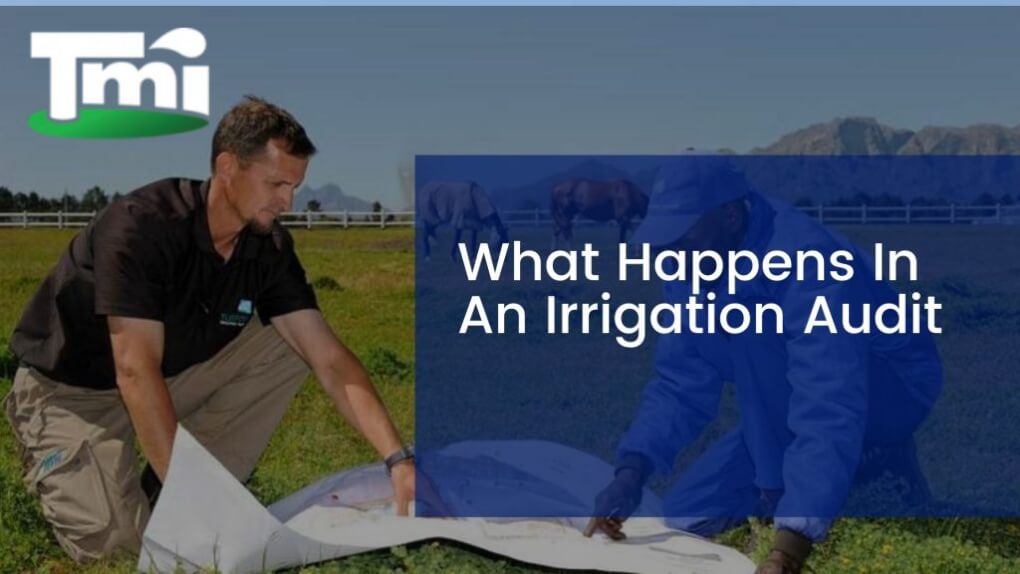 What Happens In An Irrigation Audit
