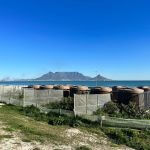 Table View Dunes Rehabilitation Project